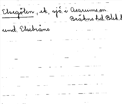 Bild på arkivkortet för arkivposten Elsegölen