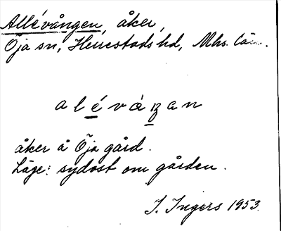 Bild på arkivkortet för arkivposten Allévången