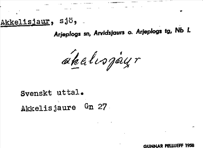 Bild på arkivkortet för arkivposten Akkelisjaur