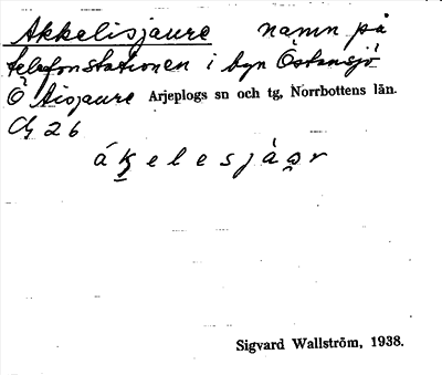 Bild på arkivkortet för arkivposten Akkelisjaure