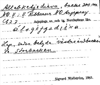 Bild på arkivkortet för arkivposten Allebketjedieva