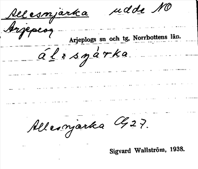Bild på arkivkortet för arkivposten Allesnjarka