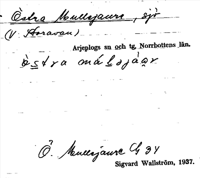 Bild på arkivkortet för arkivposten Östra Mullejaure