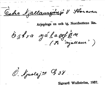 Bild på arkivkortet för arkivposten Östra Njallaursjön