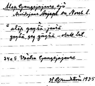 Bild på arkivkortet för arkivposten Alep Gangsjajaure