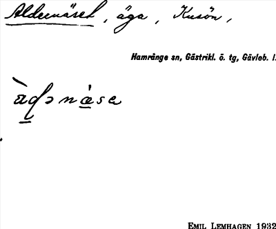 Bild på arkivkortet för arkivposten Aldernäset