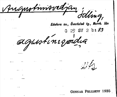 Bild på arkivkortet för arkivposten Augustinisvedjan