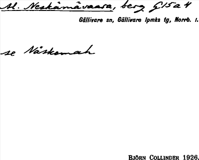 Bild på arkivkortet för arkivposten Al. Neskämävaara
