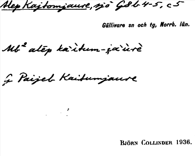 Bild på arkivkortet för arkivposten Alep Kajtomjaure