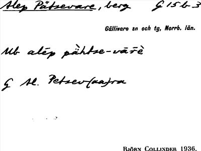 Bild på arkivkortet för arkivposten Alep Pätsevare