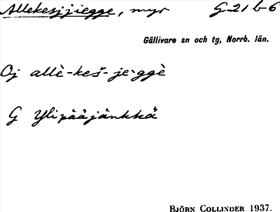 Bild på arkivkortet för arkivposten Allekesjjiegge