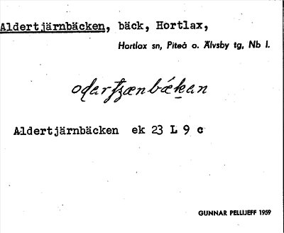 Bild på arkivkortet för arkivposten Aldertjärnbäcken