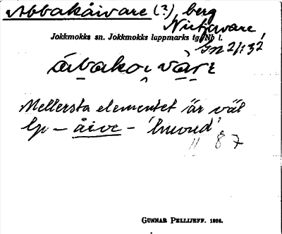 Bild på arkivkortet för arkivposten Abbakåivare (?)