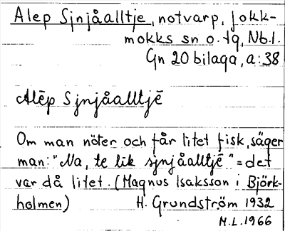 Bild på arkivkortet för arkivposten Alep Sjnjåalltje