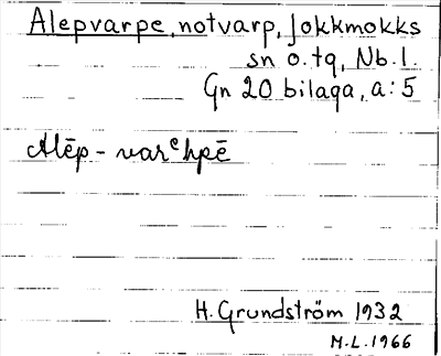 Bild på arkivkortet för arkivposten Alepvarpe