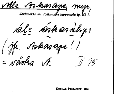 Bild på arkivkortet för arkivposten Alle Askasape