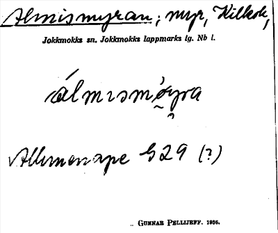 Bild på arkivkortet för arkivposten Almismyran
