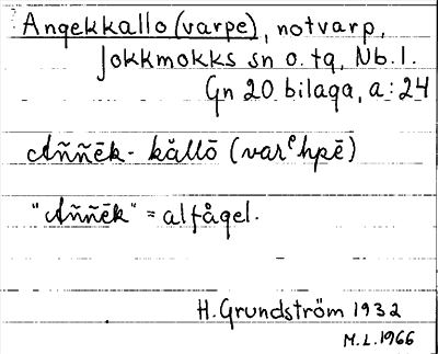 Bild på arkivkortet för arkivposten Angekkallo (varpe)