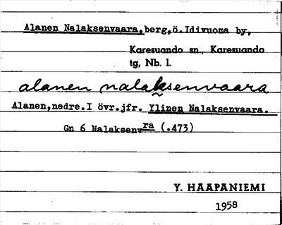 Bild på arkivkortet för arkivposten Alanen Nalaksenvaara