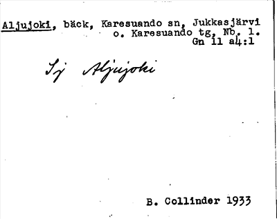 Bild på arkivkortet för arkivposten Aljujoki
