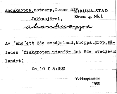 Bild på arkivkortet för arkivposten Ahonkuoppa