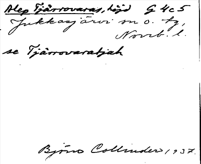 Bild på arkivkortet för arkivposten Alep Tjämovaras