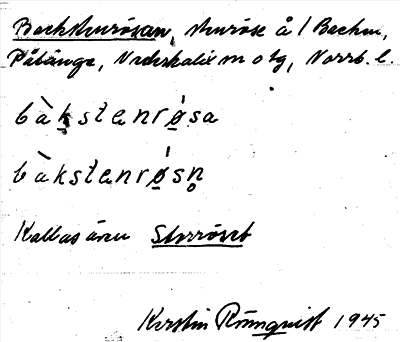 Bild på arkivkortet för arkivposten Backstenrösan