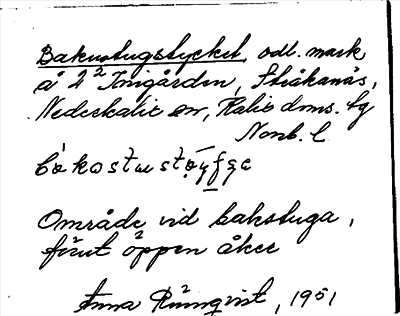 Bild på arkivkortet för arkivposten Bakustugstycket