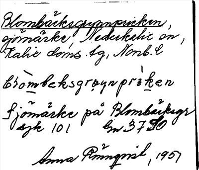 Bild på arkivkortet för arkivposten Blombäcksgrynnpricken