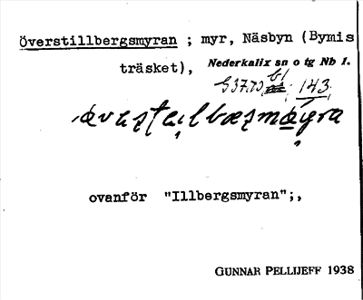 Bild på arkivkortet för arkivposten Överstillbergsmyran