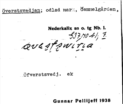 Bild på arkivkortet för arkivposten Överstsvedjan