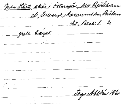 Bild på arkivkortet för arkivposten Gule Häst