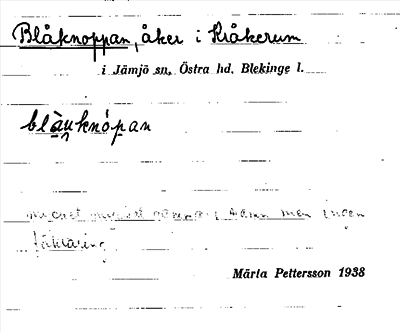Bild på arkivkortet för arkivposten Blåknoppan