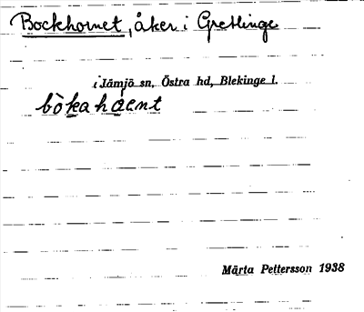 Bild på arkivkortet för arkivposten Bockhornet