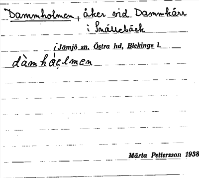 Bild på arkivkortet för arkivposten Dammholmen