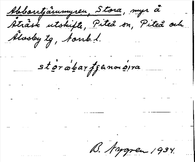 Bild på arkivkortet för arkivposten Abborrtjärnmyren, Stora