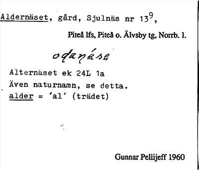 Bild på arkivkortet för arkivposten Aldernäset