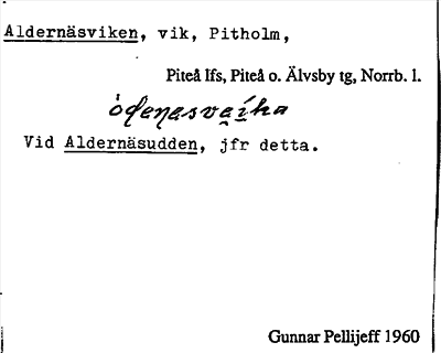 Bild på arkivkortet för arkivposten Aldernäsviken