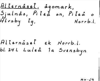 Bild på arkivkortet för arkivposten Alternäset