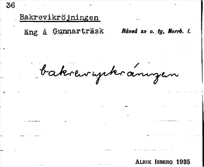 Bild på arkivkortet för arkivposten Bakrevikröjningen