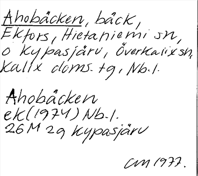 Bild på arkivkortet för arkivposten Ahobäcken