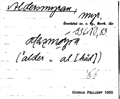 Bild på arkivkortet för arkivposten Aldersmyran