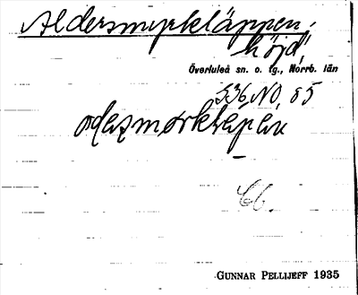 Bild på arkivkortet för arkivposten Aldersmyrkläppen