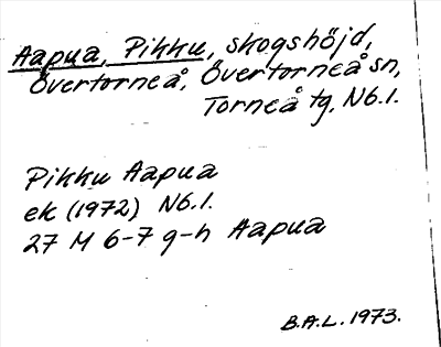 Bild på arkivkortet för arkivposten Aapua, Pikku