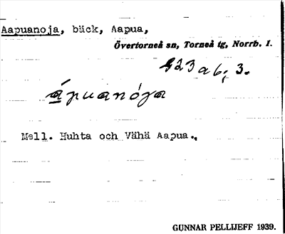 Bild på arkivkortet för arkivposten Aapuanoja
