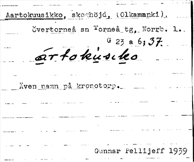 Bild på arkivkortet för arkivposten Aartokuusikko