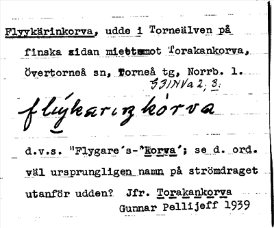 Bild på arkivkortet för arkivposten Flyykärinkorva