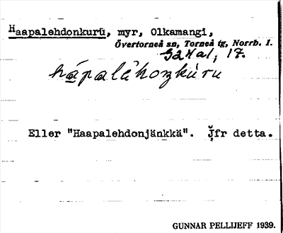 Bild på arkivkortet för arkivposten Haapalehdonkuru