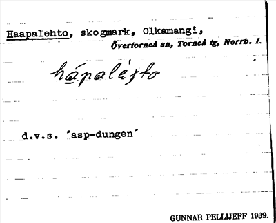 Bild på arkivkortet för arkivposten Haapalehto