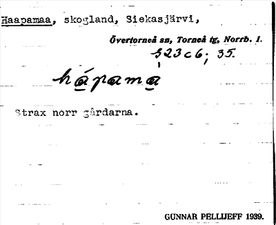 Bild på arkivkortet för arkivposten Haapamaa